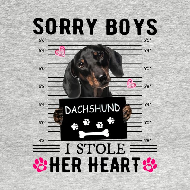 Black Dachshund Sorry Boys I Stole Her Heart by PlumleelaurineArt